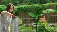 hardware cloth gardening