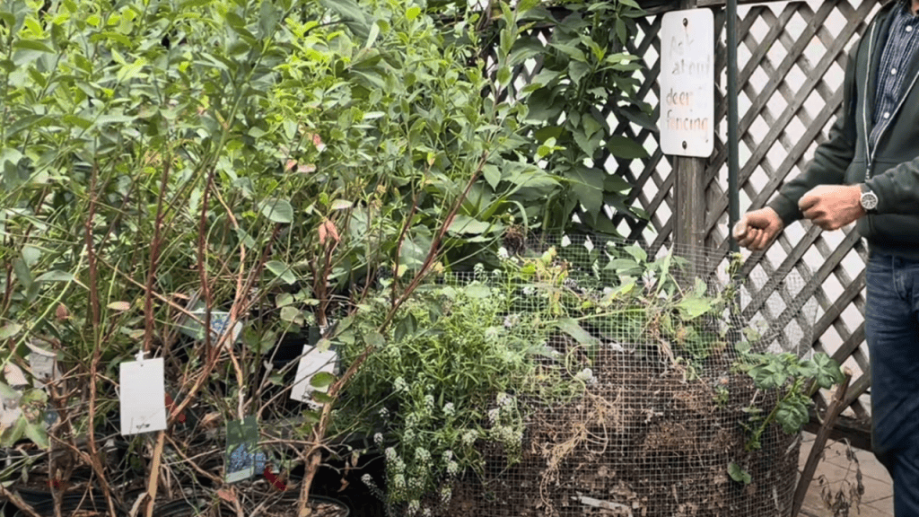 compost bin