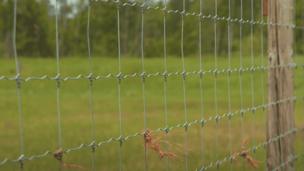 hardware cloth deer fence