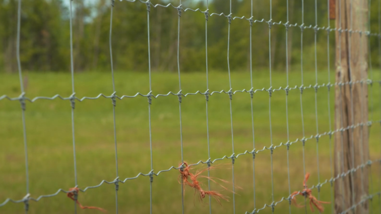 hardware cloth deer fence